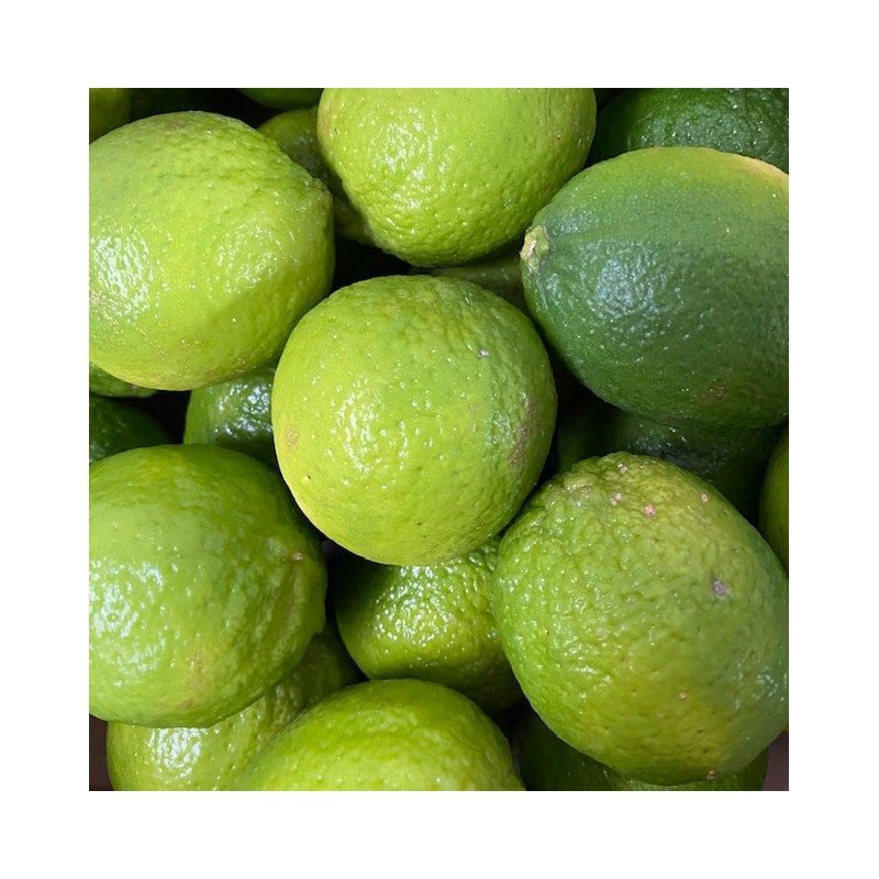 Citron Jaune ( lot de 4 )Portugal - Goncalves Fruits et Légumes