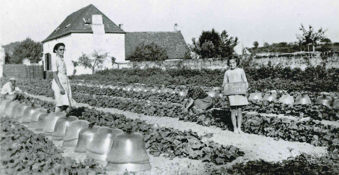 La taille des melons le 3 juillet 1943